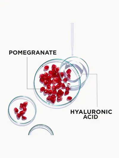 Garnier Moisture Bomb Pomegranate Hydrating Face Sheet Mask Garnier — detalhe 7