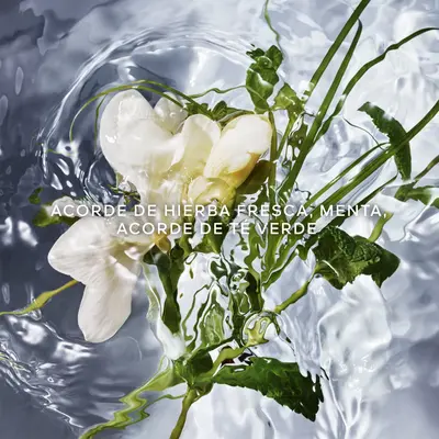 Guerlain Aqua Allegoria Herba Fresca Eau de Toilette GUERLAIN — textura e acabamento