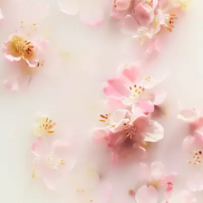 Rituals The Ritual of Sakura Hair & Body Mist Rituals — detalhe 3