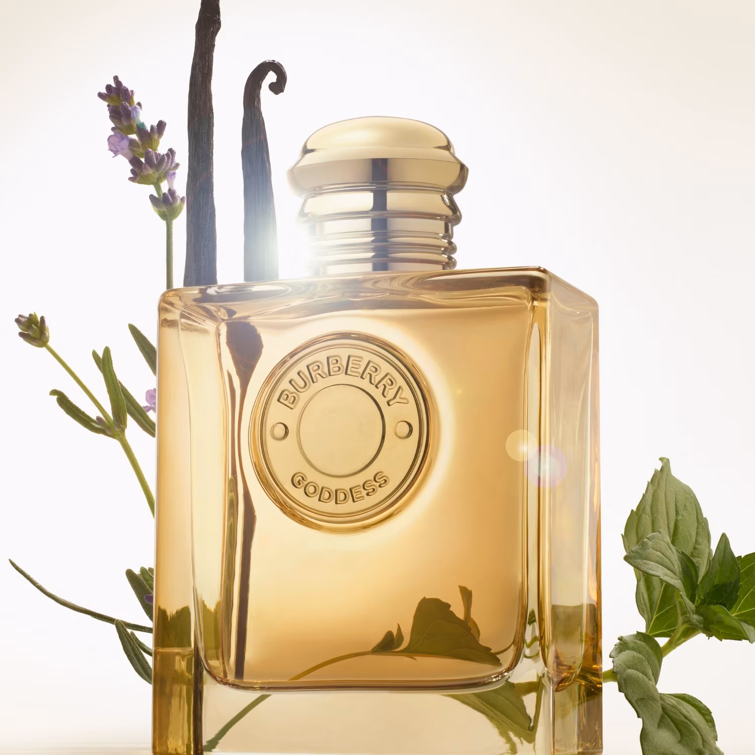 BURBERRY Goddess Intense Eau de Parfum Burberry — detalhe 4