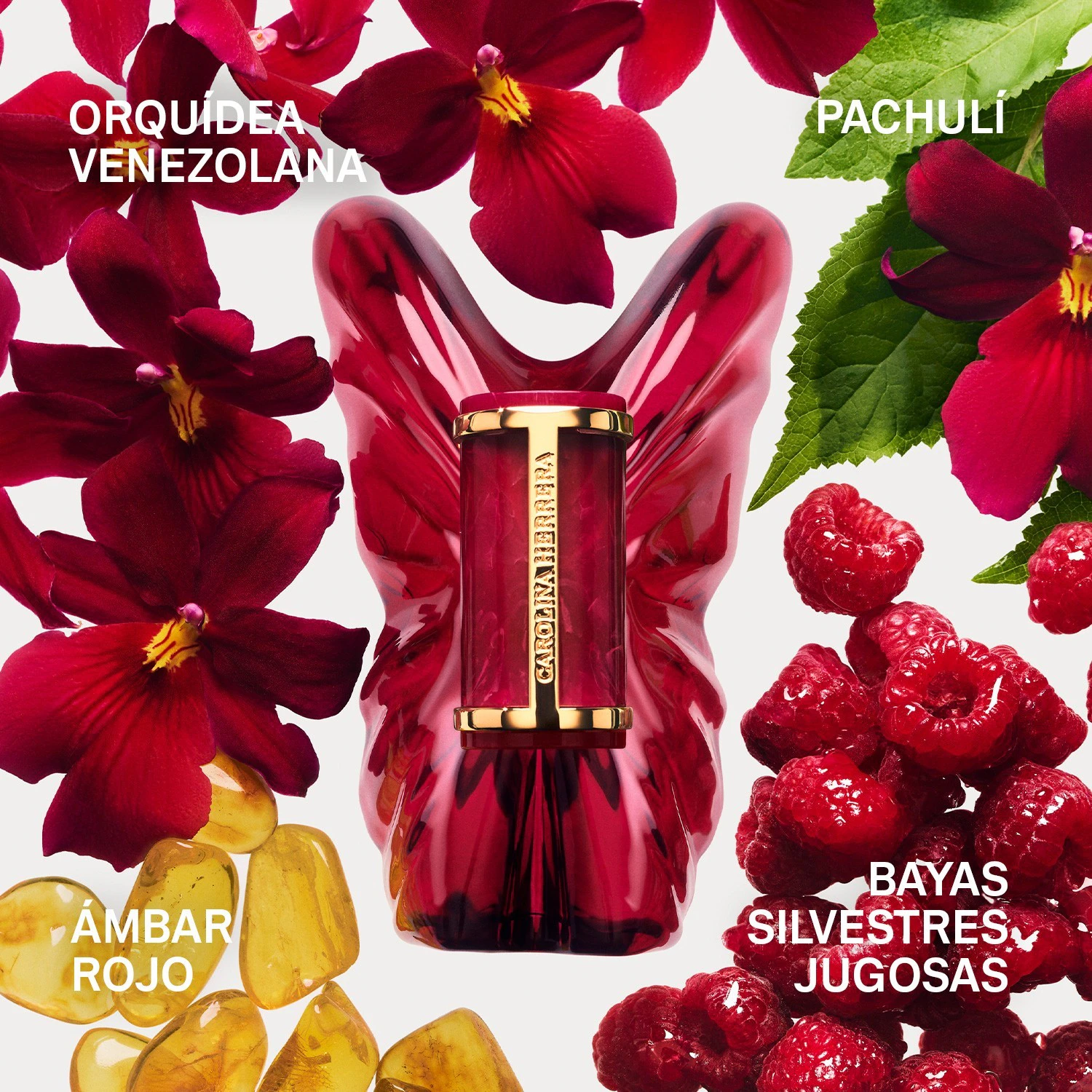 Carolina Herrera La Bomba Intensa Eau de Parfum Carolina Herrera — detalhe 3