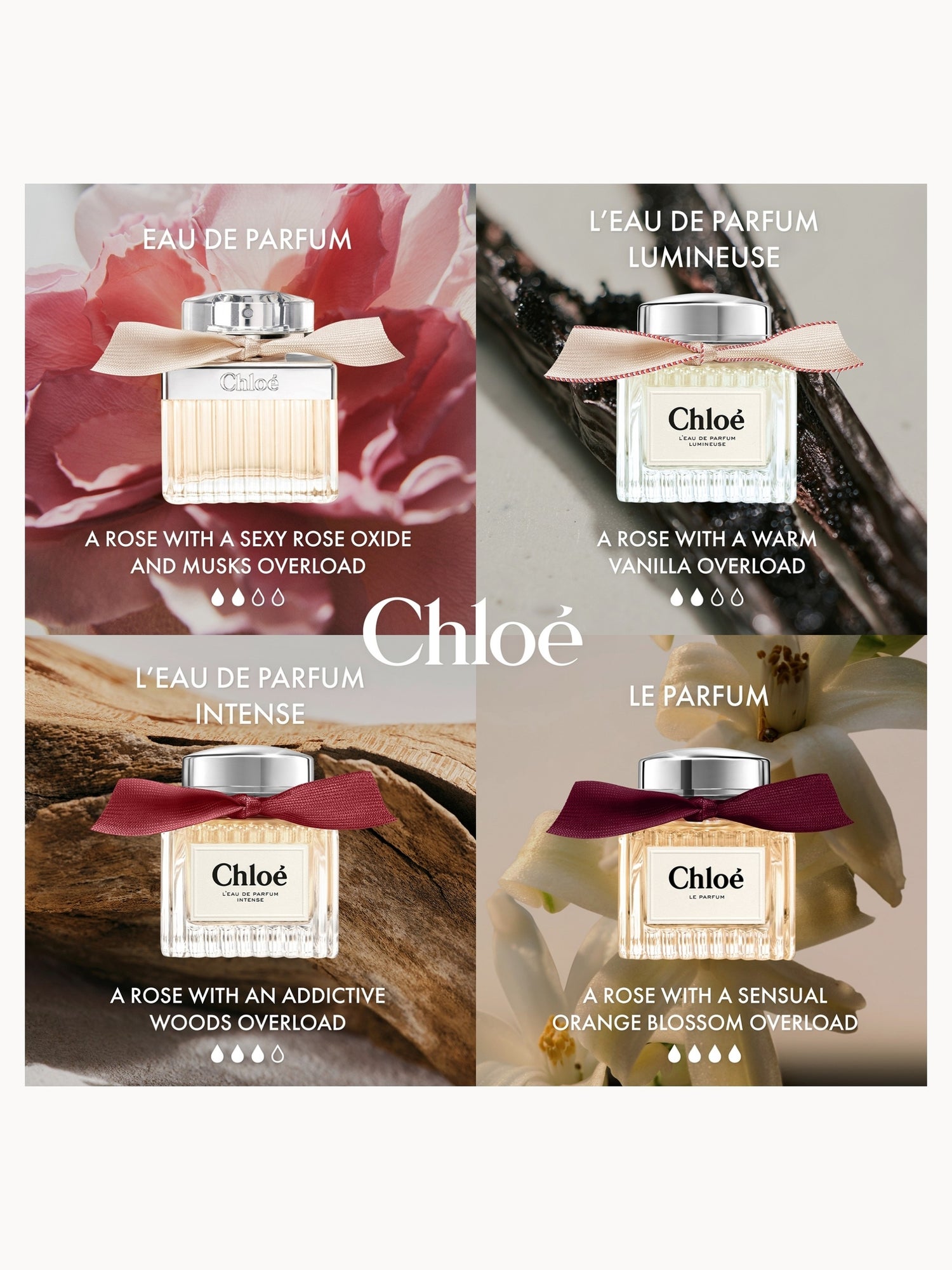 Chloé L’Eau de Parfum Intense for Women 100ml Chloé — detalhe 5
