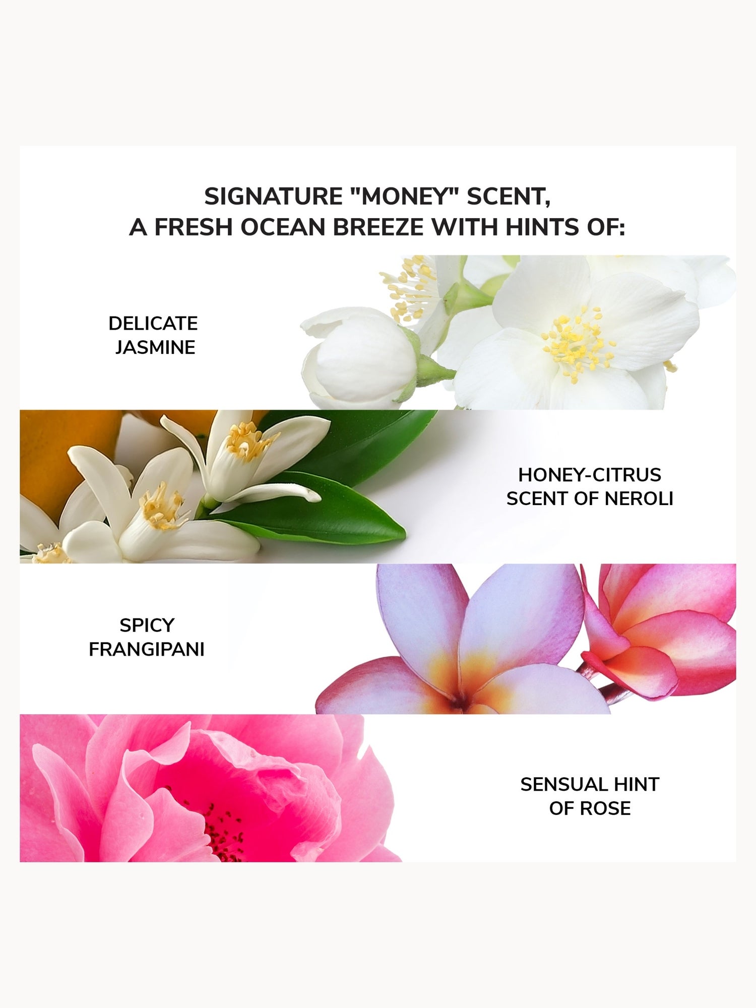 Color Wow Money Laundering Conditioner Travel 75ml Color Wow — detalhe 8