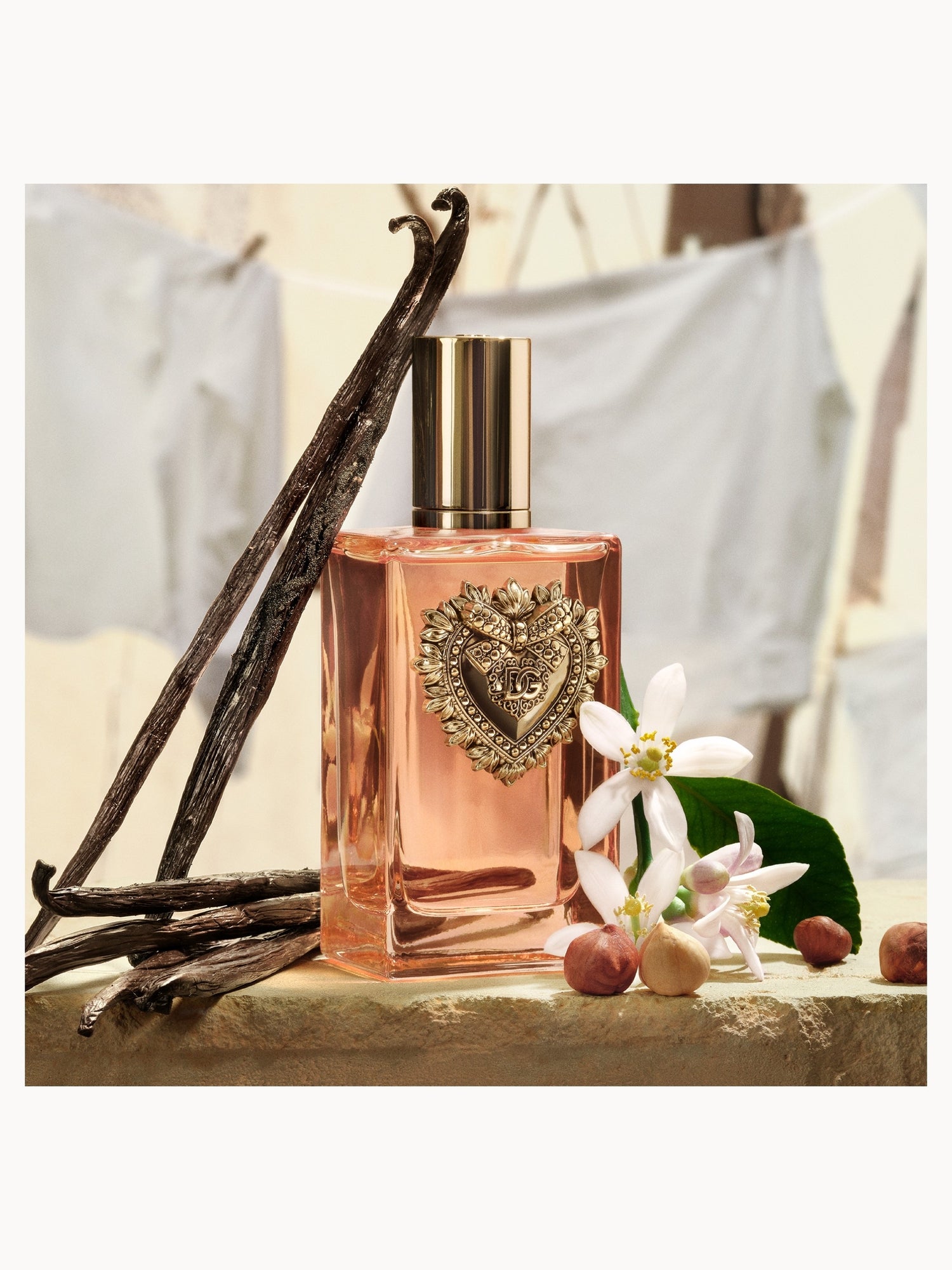 Dolce&Gabbana Devotion Eau de Parfum Intense 100ml Dolce&Gabbana — detalhe 4
