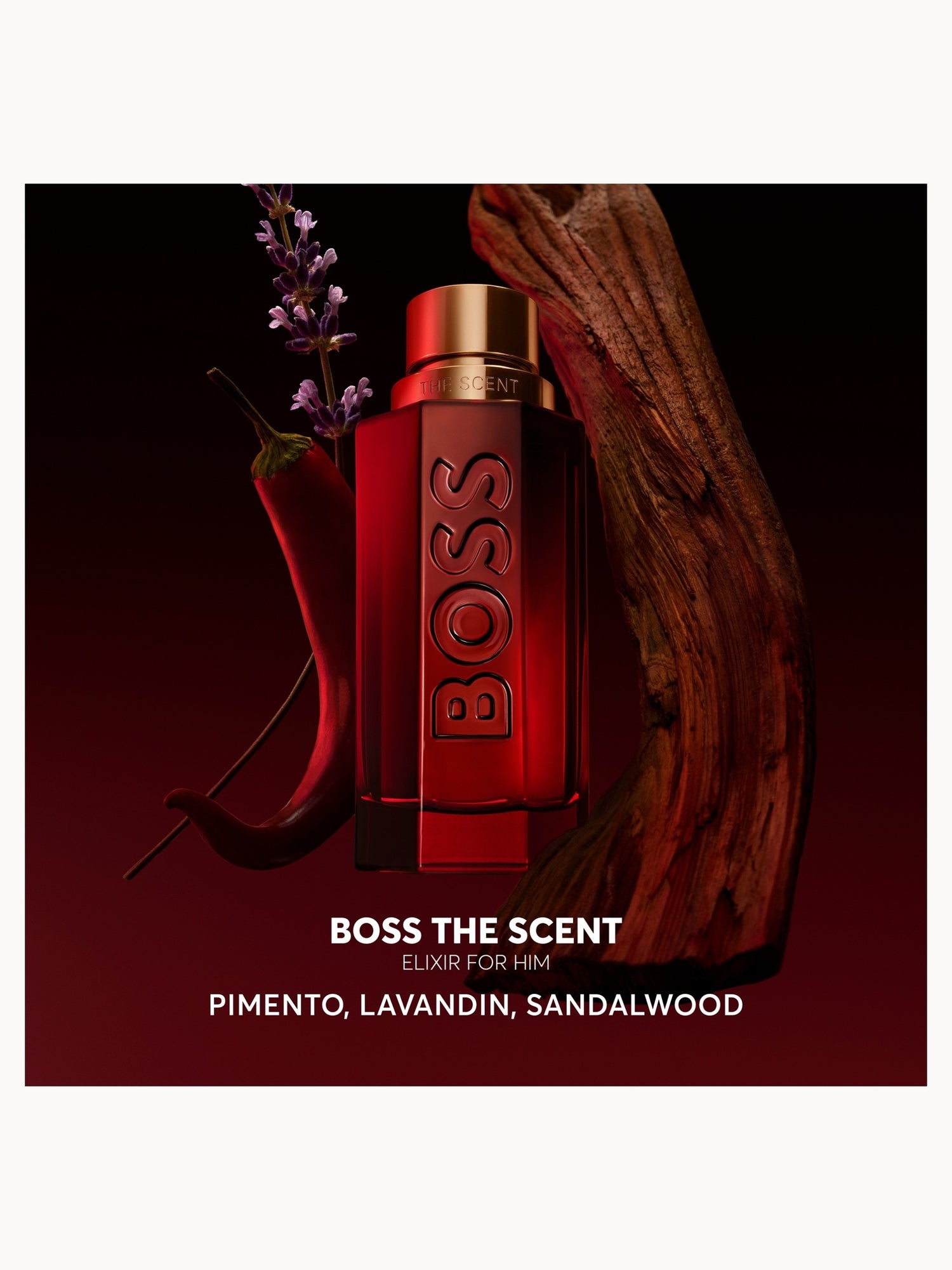 Hugo Boss The Scent Elixir Parfum Intense for Him Hugo Boss — detalhe 3